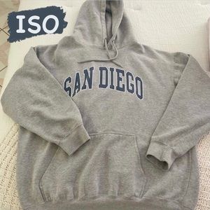 ISO BRANDY MELVILLE CHRISTY HOODIE